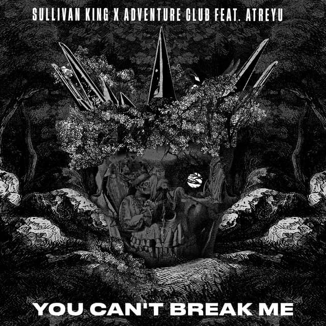 You Can't Break Me (feat. Brandon Saller of Atreyu) artwork