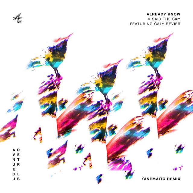 Already Know (feat. Caly Bevier) [Cinematic Remix] artwork