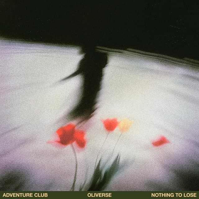 Nothing to Lose artwork